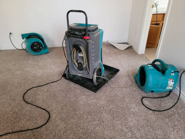 Best 24/7 water damage repair  in North Braddock, PA