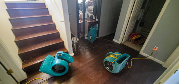 Best Water damage restoration near me  in North Braddock, PA