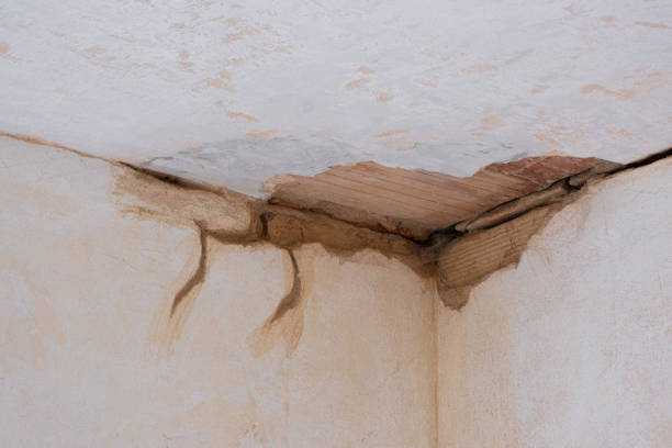 Best 24-hour water damage restoration  in North Braddock, PA