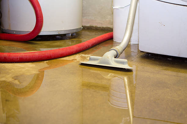 Best Emergency water damage restoration  in North Braddock, PA