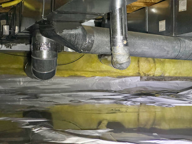 Best Water damage restoration mold remediation  in North Braddock, PA
