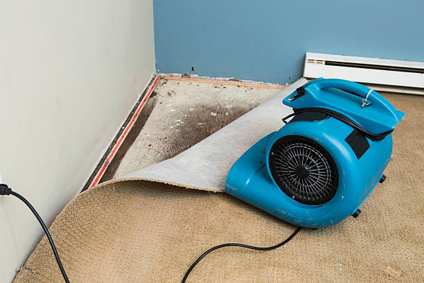 Best Water damage contractors near me  in North Braddock, PA