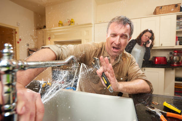 Best Ceiling water damage repair  in North Braddock, PA